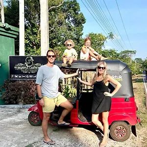 https://sigiriya-cashew-p-r.kandyhotelsnow.com