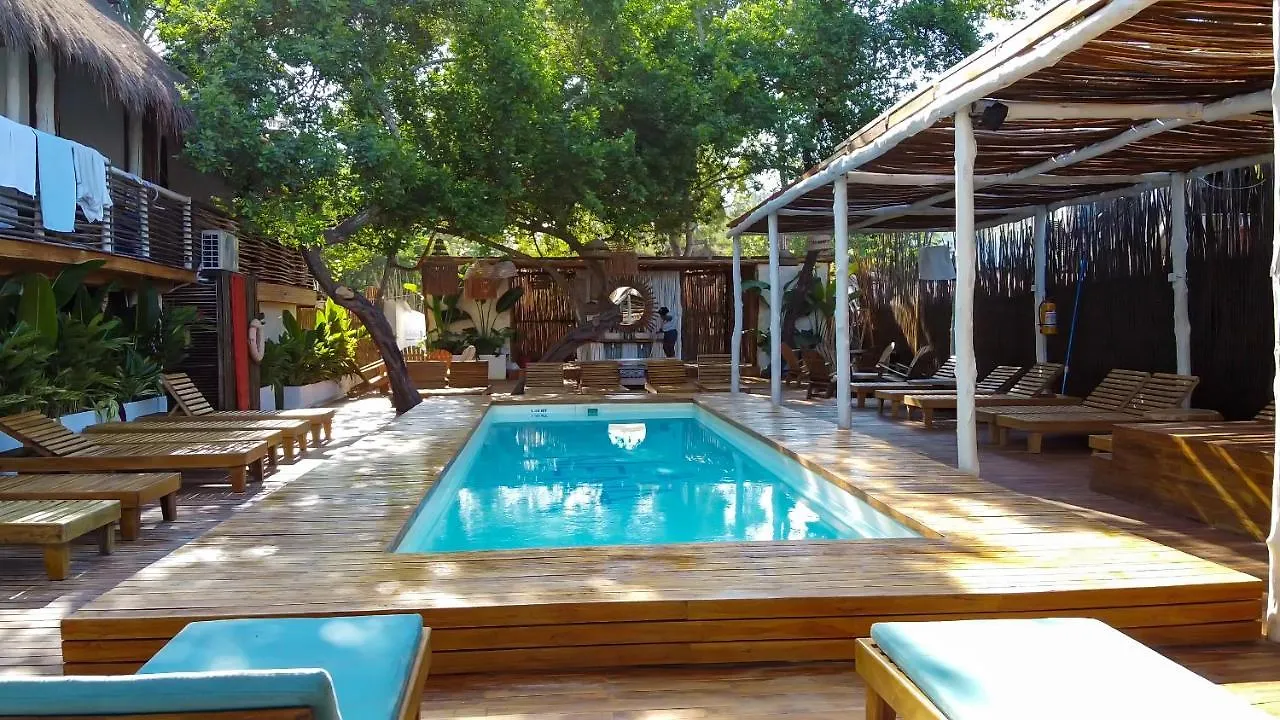 Nena Beach Club & Hotel Pendales Colombia